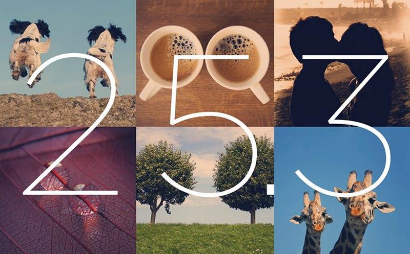 Teaser The All New One