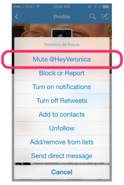Fitur Mute di Twitter