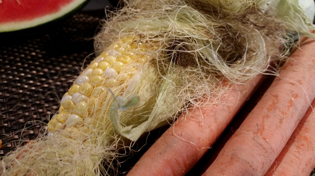 Foto dari kamera Galaxy S5 (gbr 2)