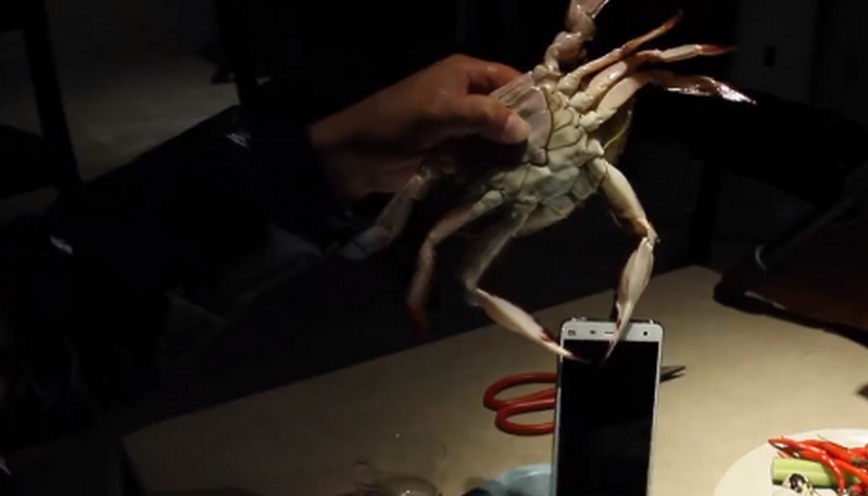 Xiaomi Mi 4 test lobster