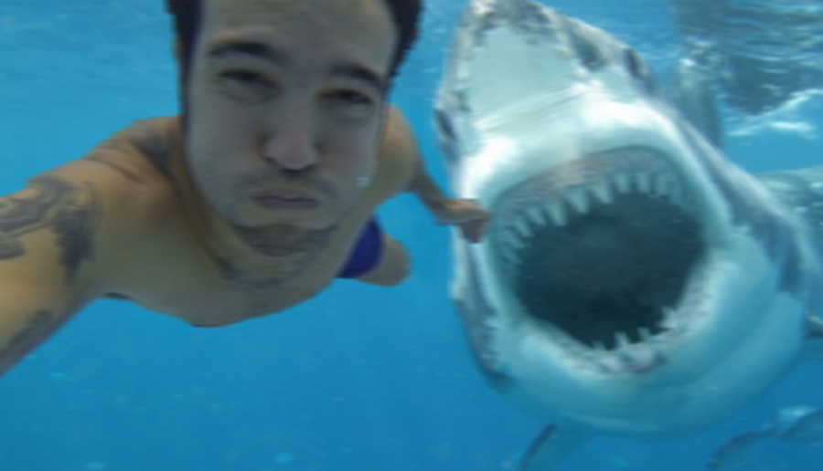 Selfie hiu