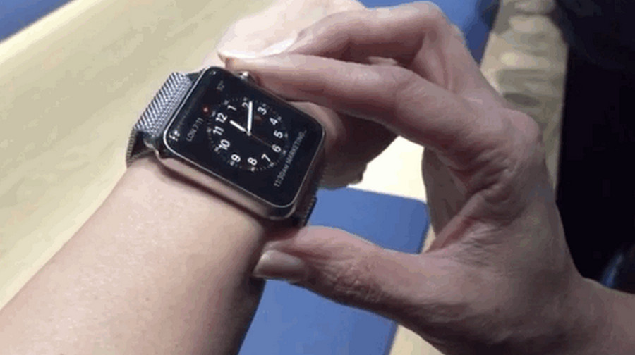 Apple Watch check the time
