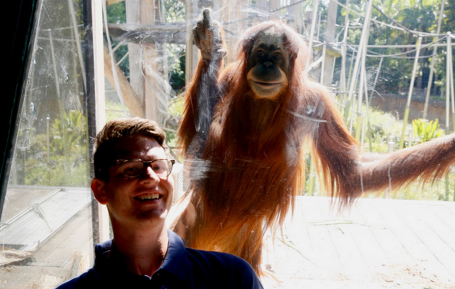 Orangutan Tertarik “Main” Xbox Kinect