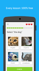 Duolingo1