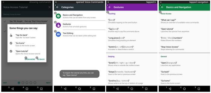 Google Voice Access 2