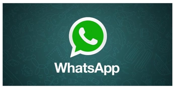 Whatsapp-for-PC WhatsApp
