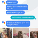 google-allo