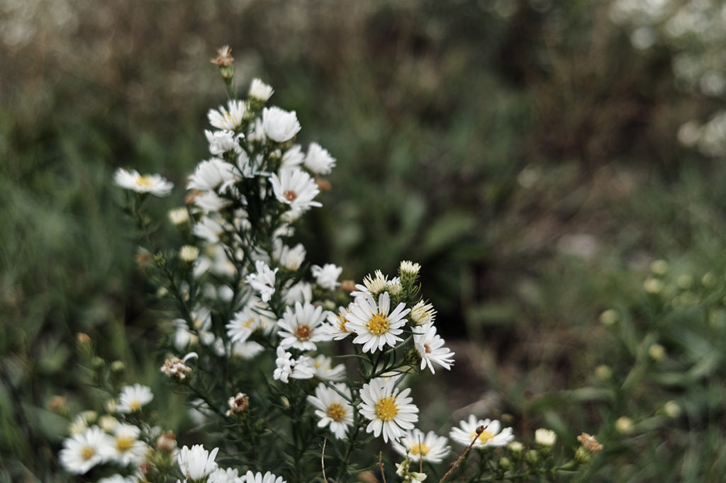 DxO ONE Camera, Ubah iPhone jadi Sekelas DSLR