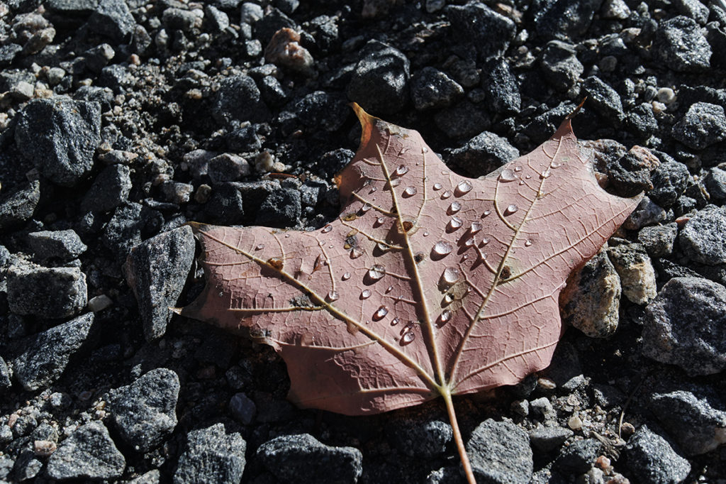 DxO ONE Camera, Ubah iPhone jadi Sekelas DSLR