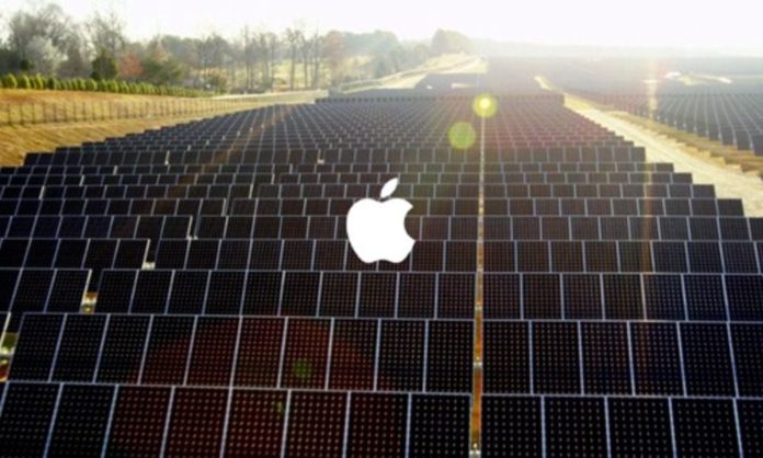 Apple