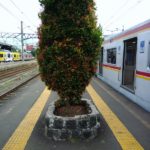 Zenfone 3 Max Kamera-1