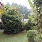 Samsung Galaxy Tab S3-Camera-1