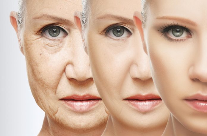 Anti-aging anti-aging stem cell