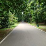 Kamera Asus ZenFone 4 Selfie-14