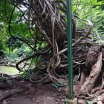 Kamera Asus ZenFone 4 Selfie-15