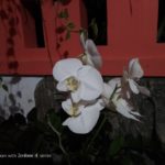 Kamera Asus ZenFone 4 Selfie Pro-18