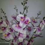 Kamera Asus ZenFone 4 Selfie Pro-19