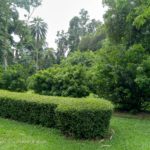 Kamera Asus ZenFone 4 Selfie Pro-3