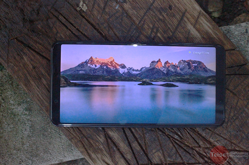 Review Vivo V7+