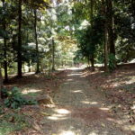 Hasil foto Moro C Plus-12