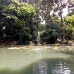 Hasil foto Moro C Plus-13