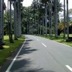 Hasil foto Moro C Plus