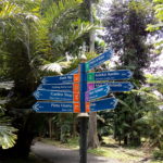 Hasil foto Moro C Plus-2