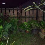 Asus ZenFone 4 Selfie Lite Foto-4