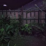 Asus ZenFone 4 Selfie Lite Foto-5