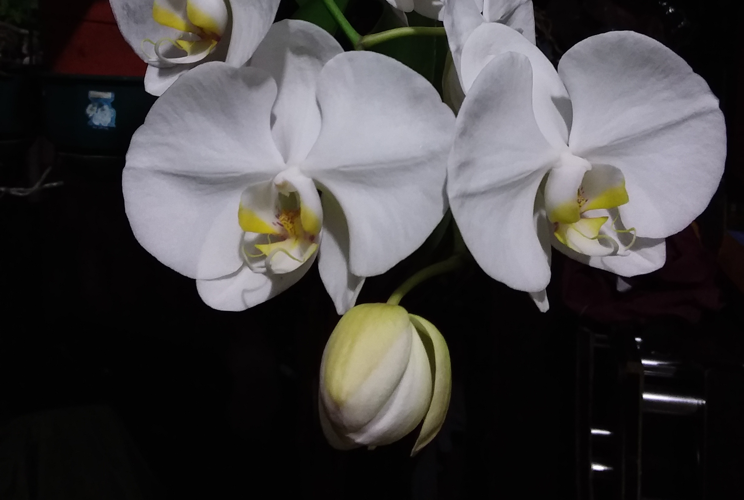 Review Galaxy Tab A 8.0 (2017), Cocok untuk Tugas Ringan