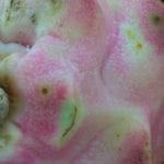 Screenshot_20180527-211735