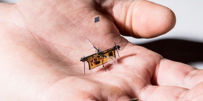 robofly robofly