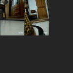 cara upload video IGTV