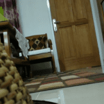 Screenshot_20180628-160907