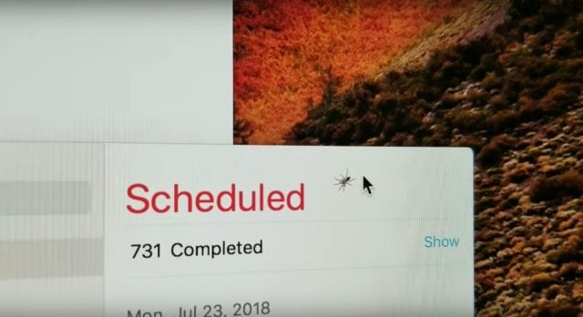 Kocak! Pria Ini Kaget Ada Laba-laba di Layar iMac