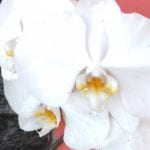 Screenshot_20180705-134828