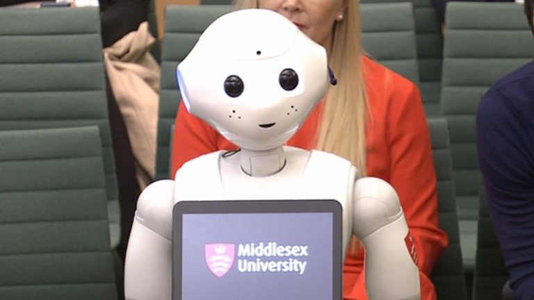 Robot Pepper