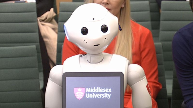 Robot Pepper Robot Pepper