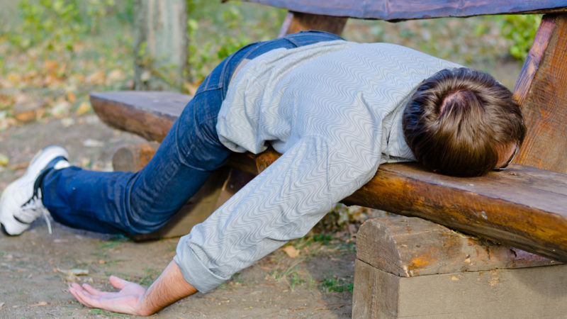 ubriacone-800x450 Beli burung merak