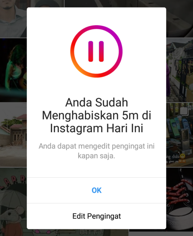 cara melihat aktivitas di ig