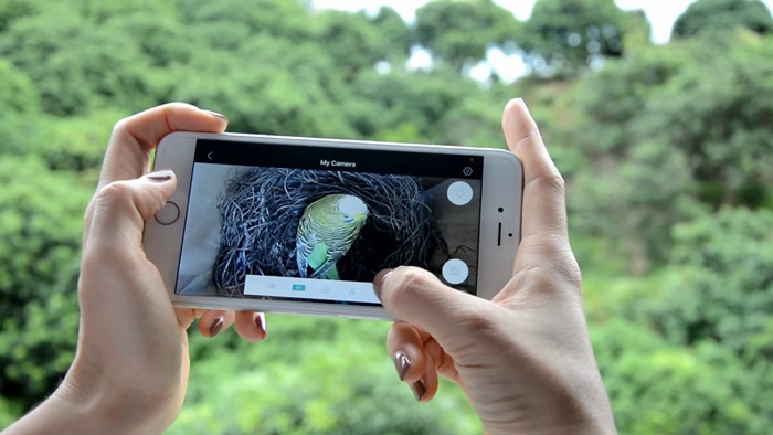 Hasilkan Foto Keren dengan Mode Manual Kamera Smartphone