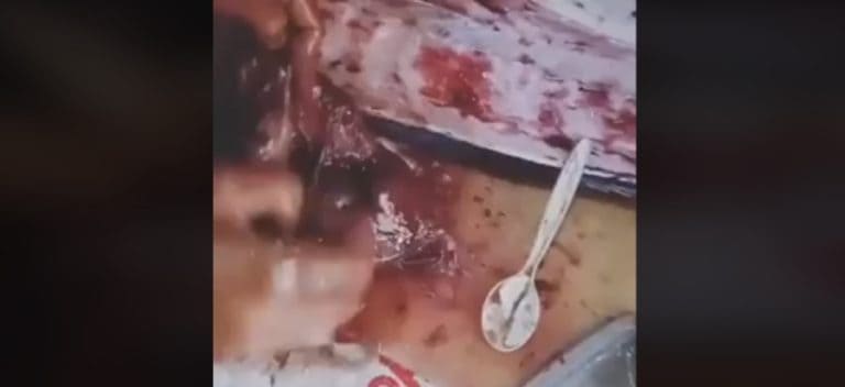 Viral! PRT Temukan Sampah Plastik di Perut Ikan yang Mau Dimasak