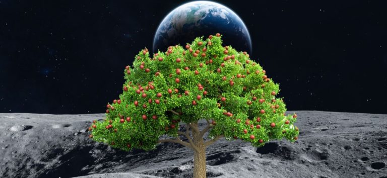 NASA Berencana Tanam Buah di Mars, dan Itu Paprika!