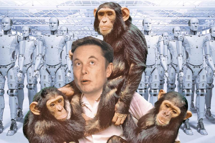 30.1f.musk_.web_ Elon Musk AI