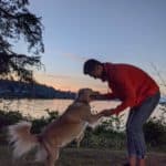 pixel-4-camera-sample-dog-1