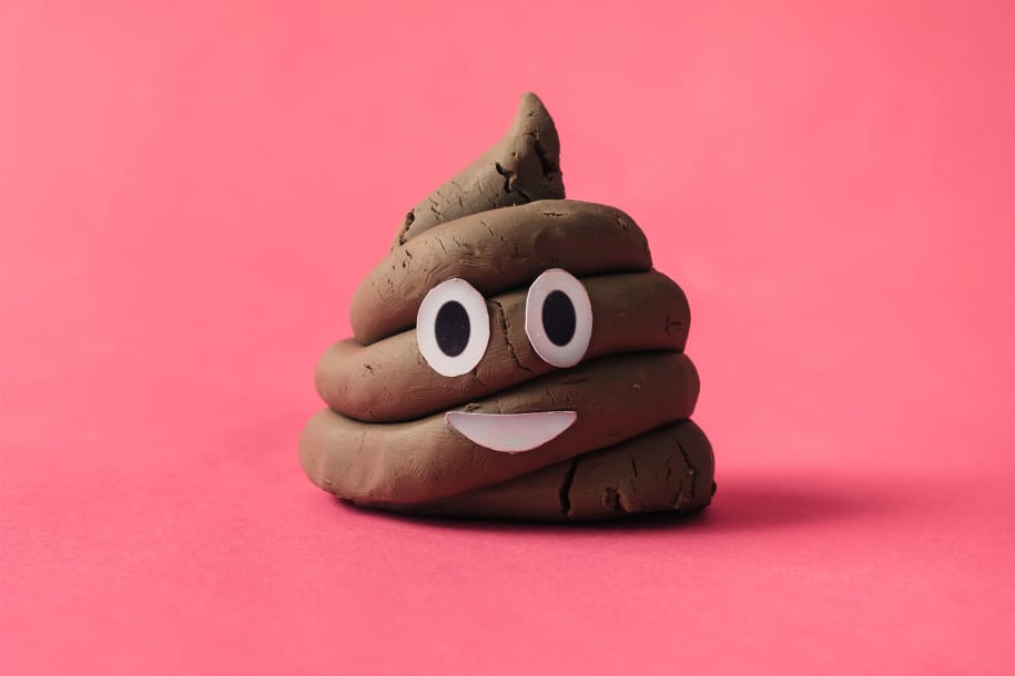 scientists-want-pictures-of-your-poop foto pup