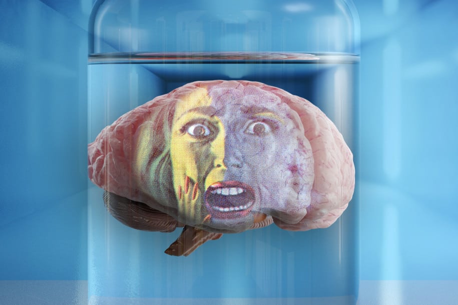 sentient-brains-jar-01 Otak Mini