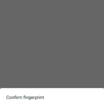 Fingerprint Lock WHatsApp-3