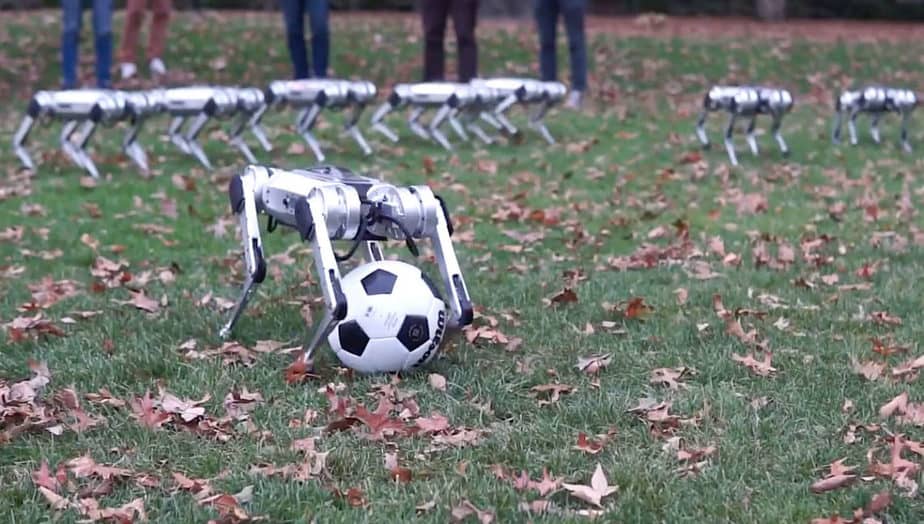 mit-mini-cheetah-robots Robot Mini Cheetah