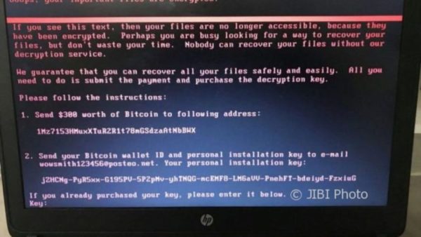 contoh kasus malware petya